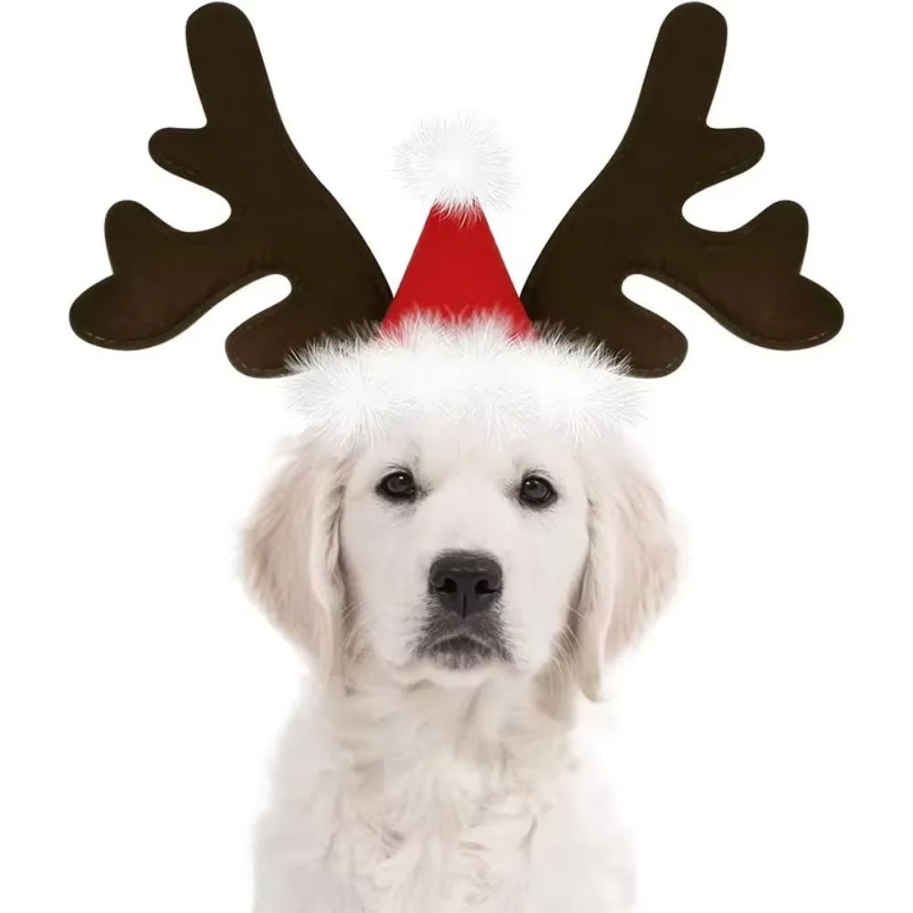 Pet Christmas Reindeer Antler  - Reindeer Antlers Headband review and price